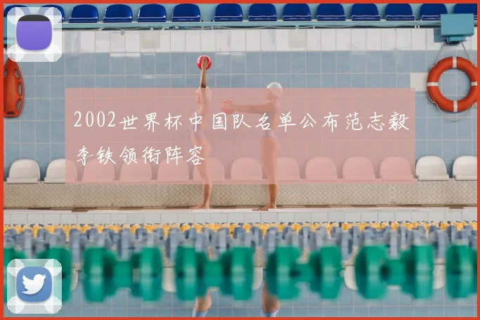 2002世界杯中国队名单公布范志毅李铁领衔阵容