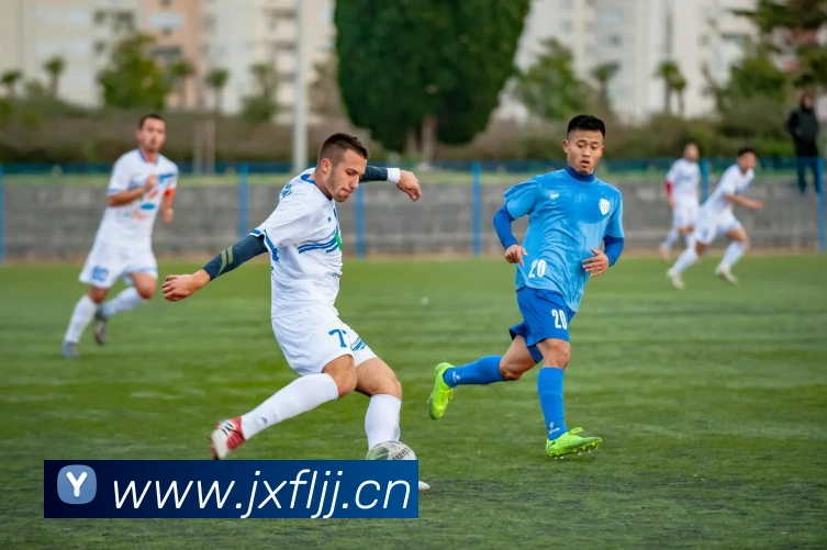 开云手机在线登陆入口平台生态图